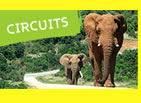 Circuits