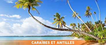 Les Caraïbes et vols inclus !