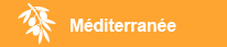 Méditerranée